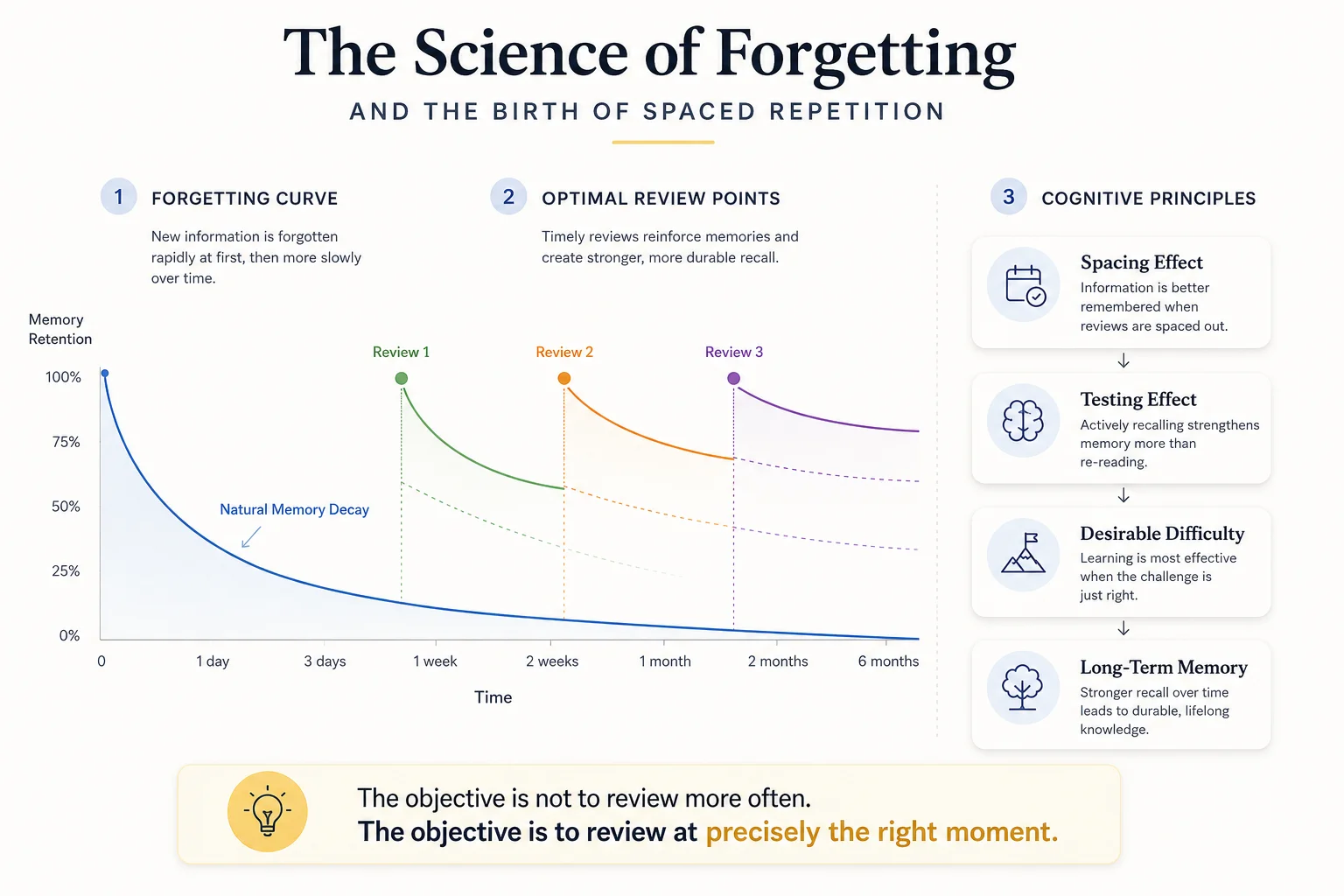 The Ebbinghaus Forgetting Curve overlaying optimal review intervention points, showing memory retention dropping sharply then leveling off, with three spaced reviews each flattening the decay curve