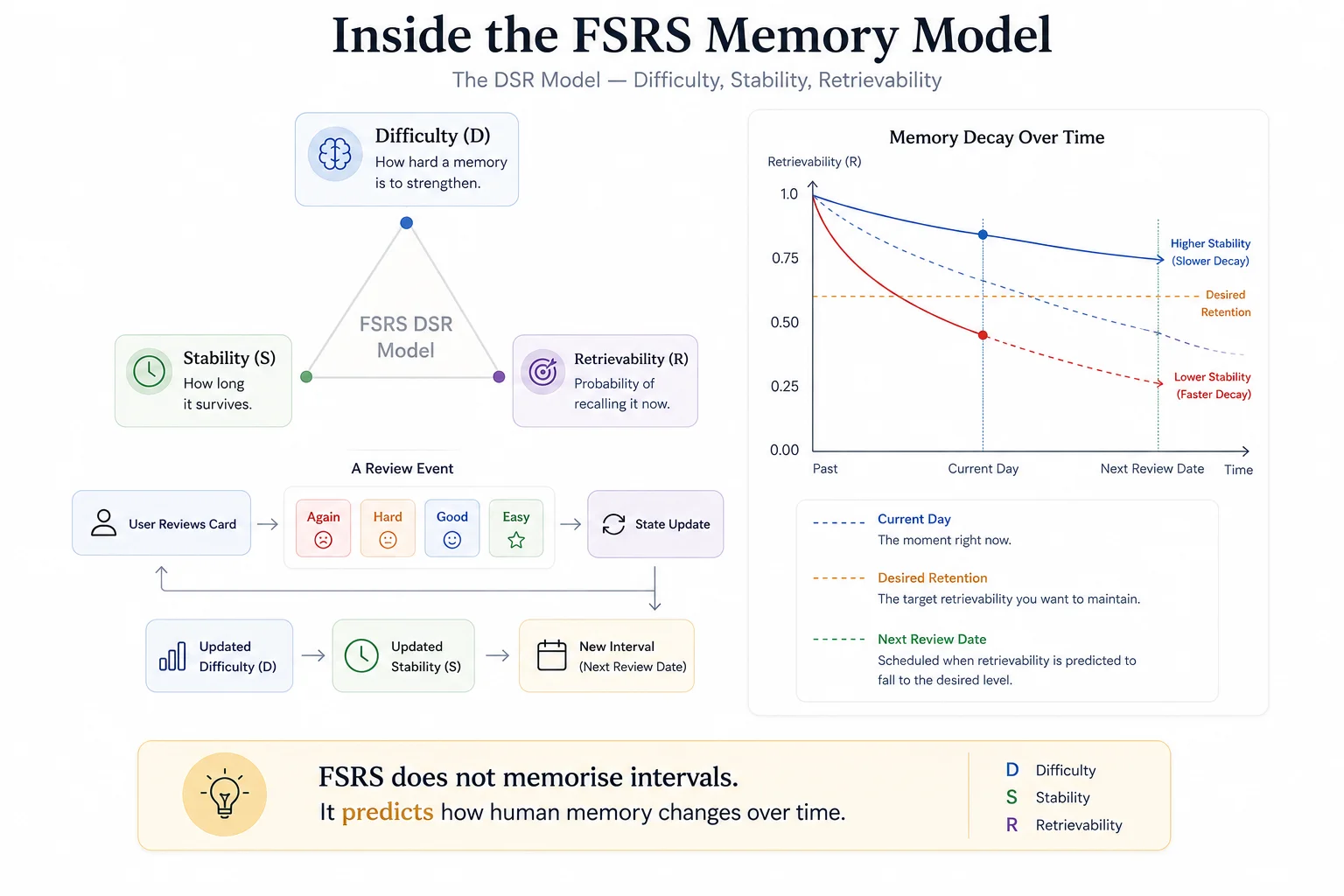 Inside the FSRS Memory Model: the DSR triangle of Difficulty, Stability, and Retrievability, a review event flow from grading a card through state update to a new interval, and a memory decay chart comparing higher and lower stability curves against desired retention